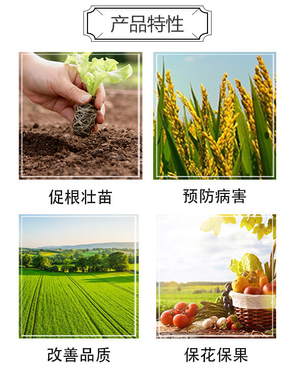 �����S�߮a(ch��n)�ײ�-�Խ_05