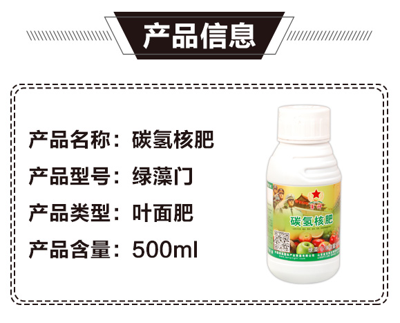 ̼��˷�-�G���T-̼����H_02