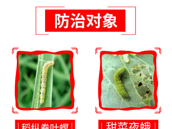 ̩ɭ�x��-1%�װ������S���ر������}-���G�r(n��ng)_08