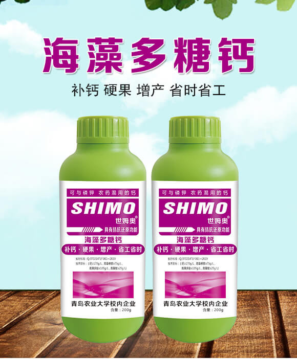 ��������}-��ķ�W-�����S_01