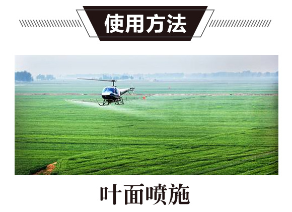 ̼��˷�-�G���T-̼����H_02