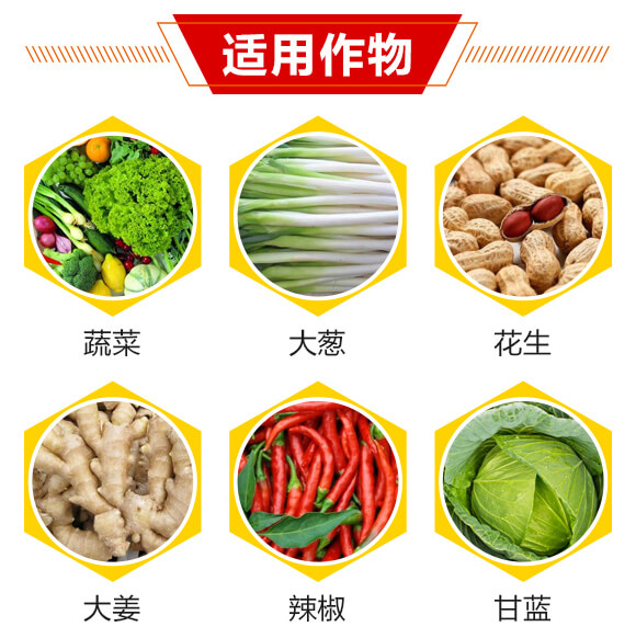 14%�x(ch��ng)�������x(ch��ng)��-������-��(r��n)������_04