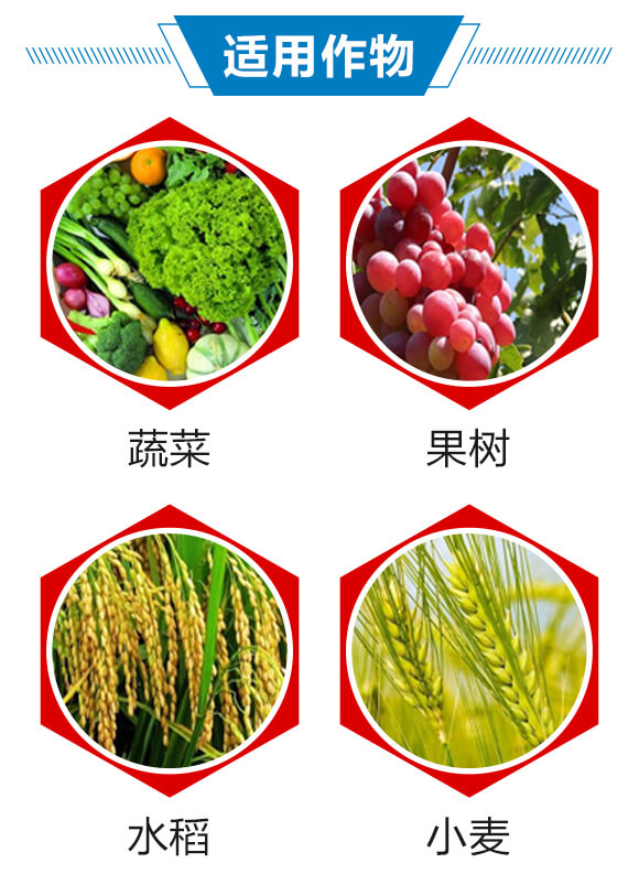 6%(li��n)�ա���x��-������-��(r��n)������_04