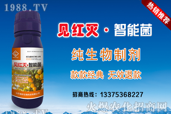 ���@���Ʋ�