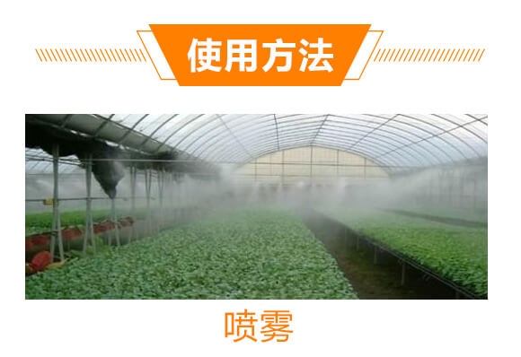 20%���ݿ�-��Ҋ-��ʯ����_06