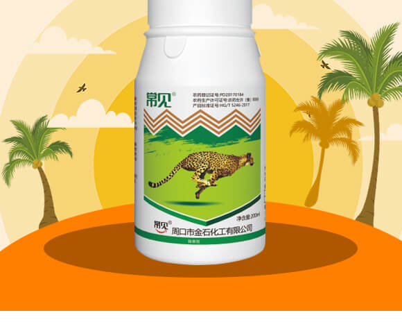 20%���ݿ�-��Ҋ-��ʯ����_02