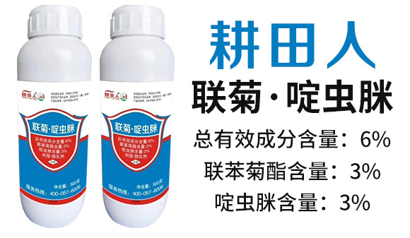 6%(li��n)�ա���x��-������-��(r��n)������_02