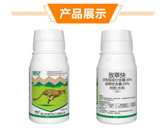 20%���ݿ�-��Ҋ-��ʯ����_09