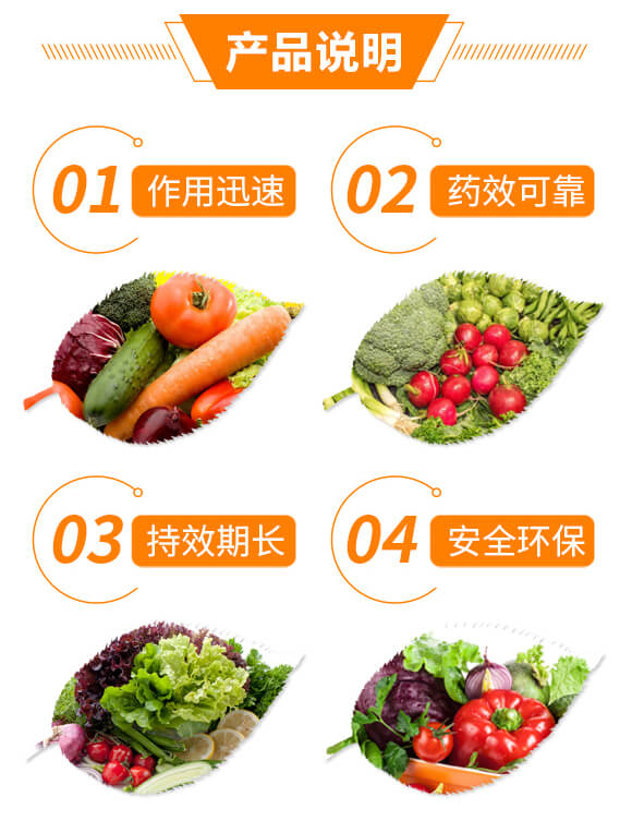 300��ÿ�����ѡ����h(hu��n)��-��֮�{(l��n)-���r(n��ng)����_03