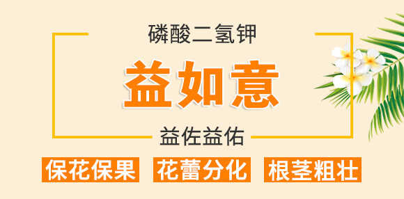 ��������-������-��������_01