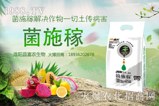 2020���r(n��ng)��NҰ��ٍ�X�����x����ЩҰ��Ʒ�NЧ��ߣ����h�ղ���