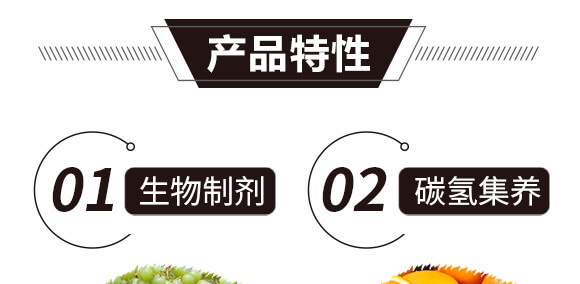 ̼��˷�-�{���T-̼����H_08