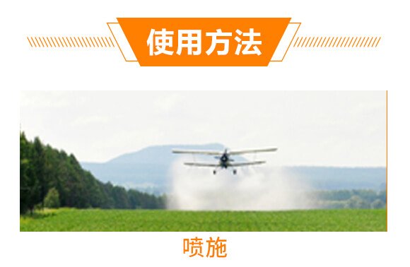 ���׳��00-400-500-����ϲɫ-ϲ�ϼ�_08