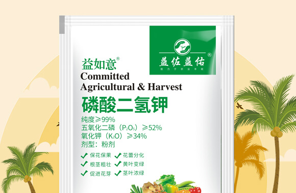 ��������-������-��������_02