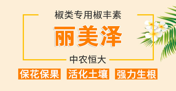 ���(l��i)��(zhu��n)�ý��S��-������-���r(n��ng)���_01