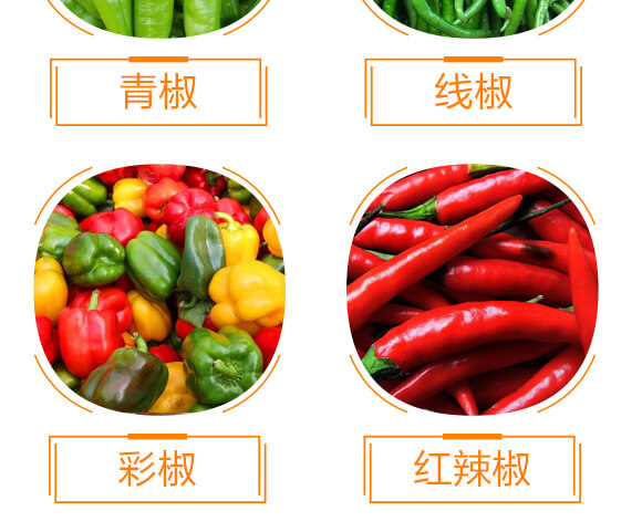 ���(l��i)��(zhu��n)�ý��S��-������-���r(n��ng)���_09