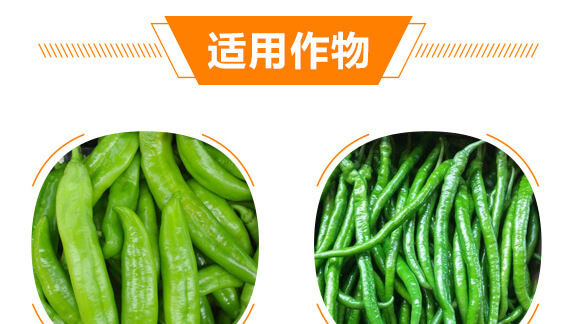 ���(l��i)��(zhu��n)�ý��S��-������-���r(n��ng)���_08