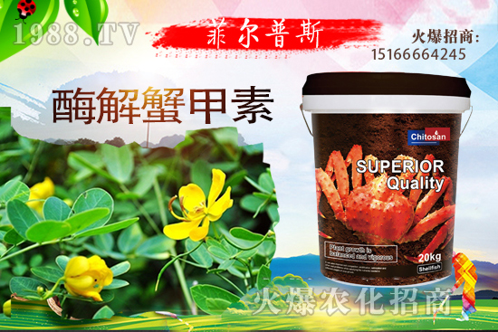 ������ô�Nֲ�������Nֲ���g(sh��)Ҫ�c(di��n)��