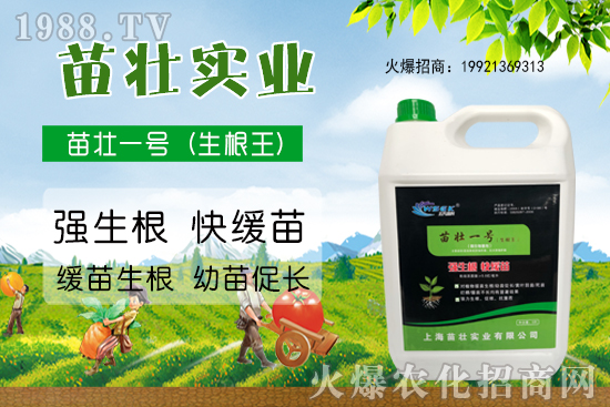 ���؃r(ji��)��