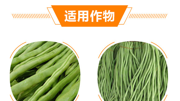 ���ǌ��ö�?ji��)M��-������-���r(n��ng)���_08