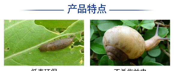 10%�ľ���ȩ��1000�ˣ�-����-�P�Z����_04