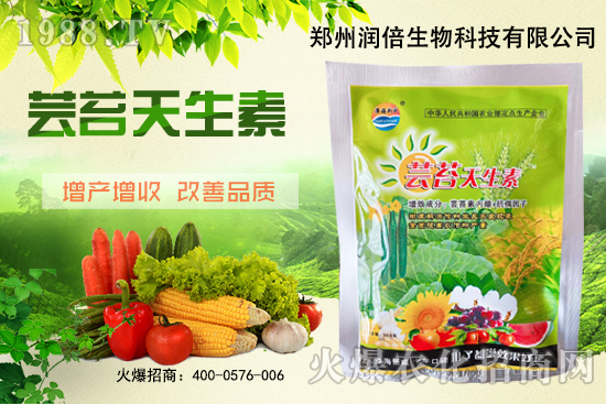 �S�B������ô�������S�B���ڲ��x��������