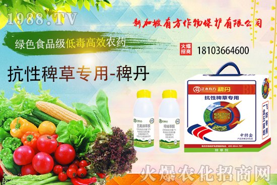 �rˎ΢�҄������Ƃ似�g�о��Mչ