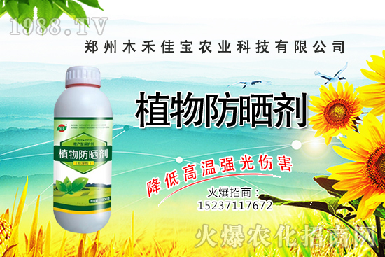 ������Nֲ����Ҫ�c(di��n)����Щ�����������Է�����