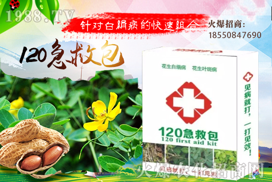 �S�ϼ޽���ʲô��̎����������S�ϼ޽�����