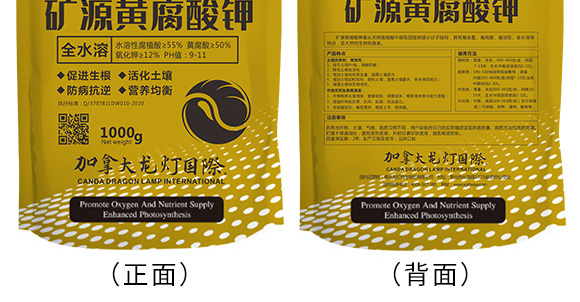 �VԴ�S�����-������-����4