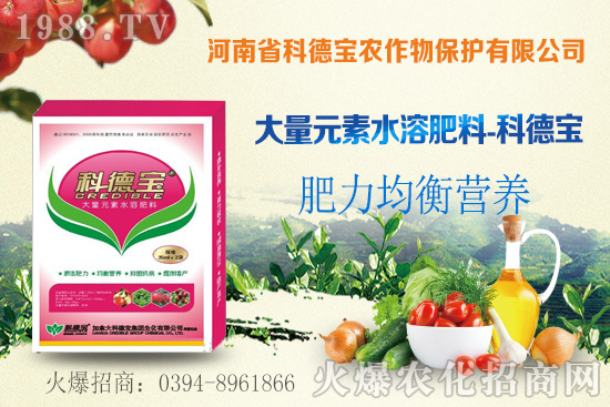 ��֦ʲô�r�g���죿��֦���A�\(y��n)��������Щ��