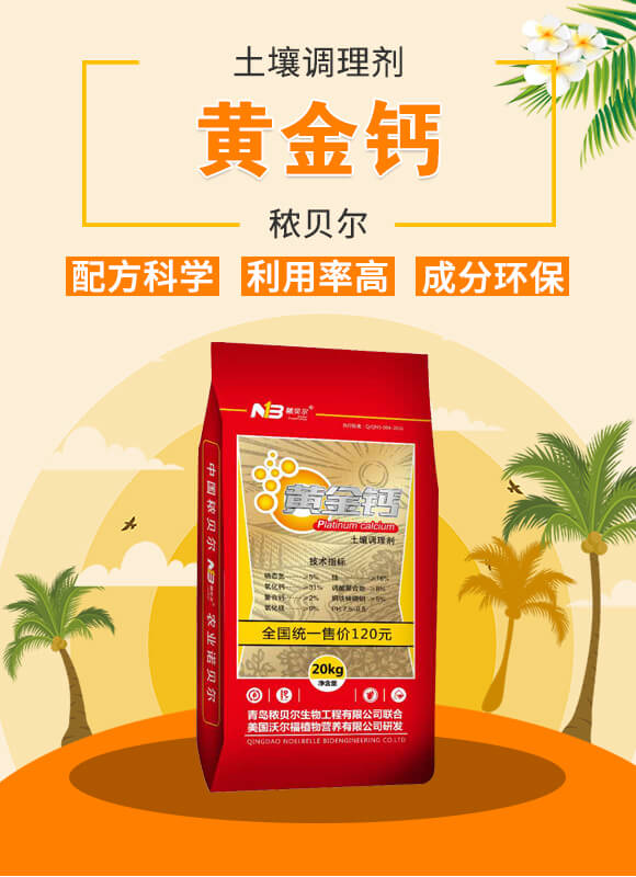 �����{(di��o)�턩-�S���}-��ؐ��_01