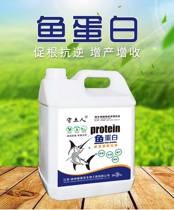 �~����-������-�۱��r(n��ng)_01