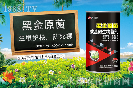     ����ʲô�r����������׵��ի@�r�������׵ĠI�B(y��ng)�rֵ��