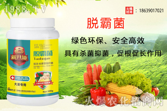 �����Nֲ�xʲôƷ�N�������Nֲǰ��������Ʒ�N���]��