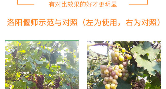 �����v�S�r(n��ng)�I(y��)�Ƽ����޹�˾_09