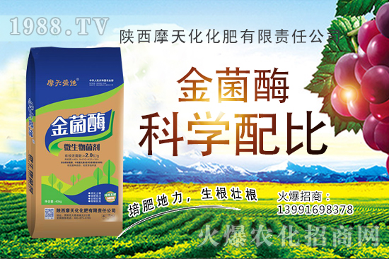 �Nһ���O���ĳɱ��Ƕ��٣��ж����������O���Nֲ���g(sh��)�c������