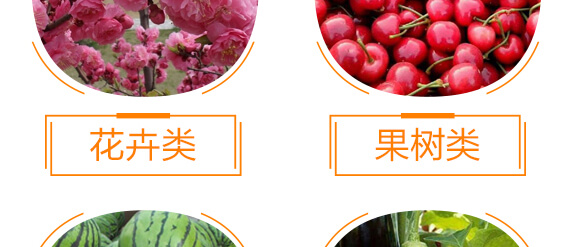 ��(f��)��΢����_ʩ��-�{�������-���w��-���W����_11