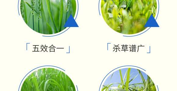 ���׳��݄��⚢�͡�����L(zh��ng)_06