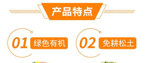 ��(f��)��΢����_ʩ��-�{�������-���w��-���W����_06