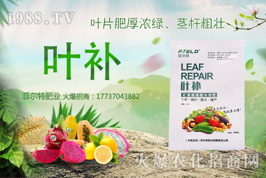 �o(w��)�����Nֲǰ����ô�����o(w��)�����Nֲ�r(sh��)�g�ͷ�����