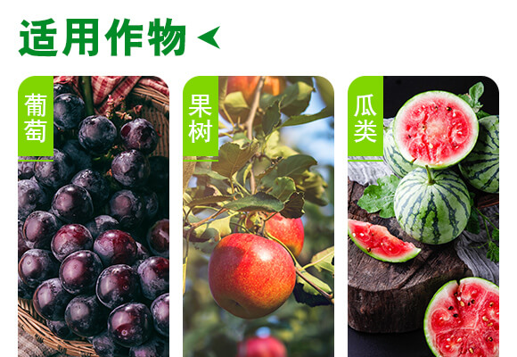 ���u��������Ƽ����޹�˾�a(ch��n)ƷԔ���2_04