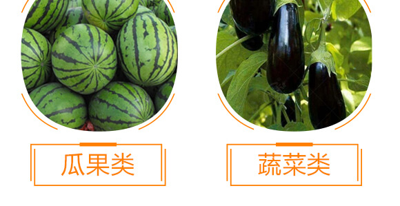 ��(f��)��΢����_ʩ��-�{�������-���w��-���W����_12