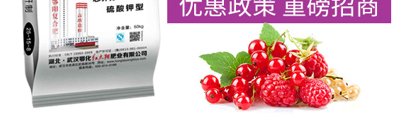 ������͏�(f��)�Ϸ���25-14-6-���(y��ng)_05