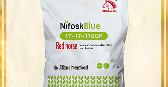 �M�ڏ�(f��)�Ϸ�-�����Ի��W(xu��)����17-17-17SOP-KUDAMERAH���_÷��_02