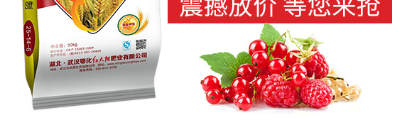 ������͏�(f��)�Ϸ���25-14-6-���(y��ng)_05