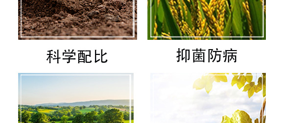 �׷����־���-�۟oۙ-�T�__07