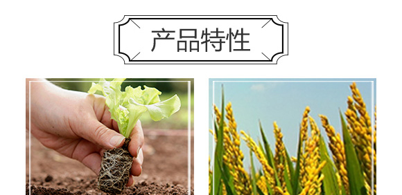 �׷����־���-�۟oۙ-�T�__06