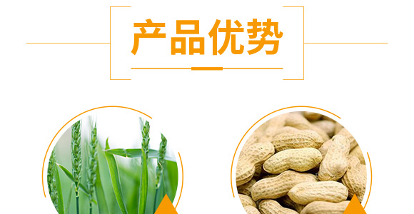 �����ٻ���ᘷ�辄�-��ؔ-�G������_05