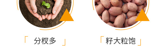 �����ٻ���ᘷ�辄�-��ؔ(c��i)-�G������_07